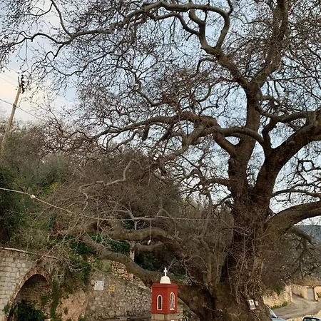 Athena's House * エリオナス