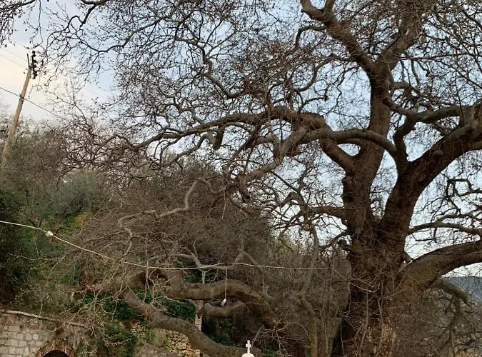 Athena's House * Eleonas (Achaia)